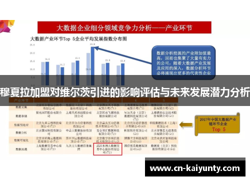 穆夏拉加盟对维尔茨引进的影响评估与未来发展潜力分析