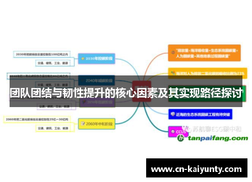团队团结与韧性提升的核心因素及其实现路径探讨